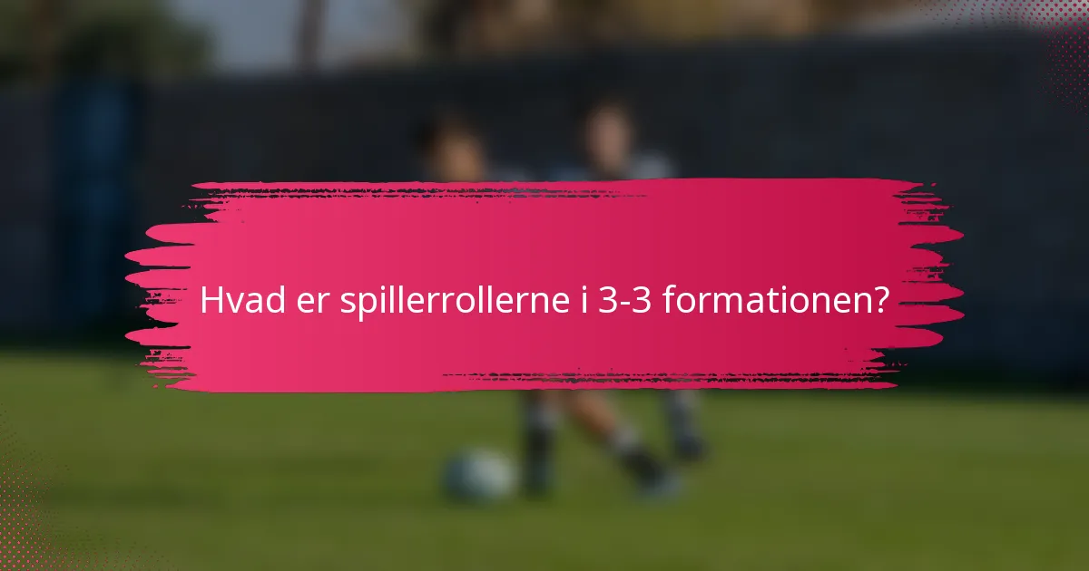 Hvad er spillerrollerne i 3-3 formationen?