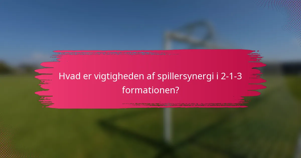 Hvad er vigtigheden af spillersynergi i 2-1-3 formationen?